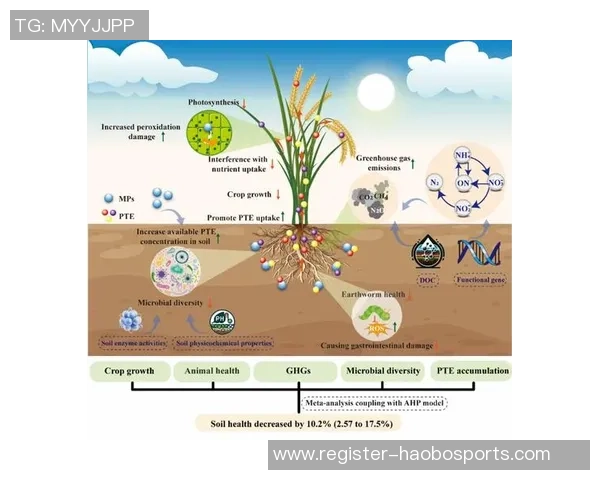 葡桃足球圈的崛起与发展探讨及其对中国足球的影响分析